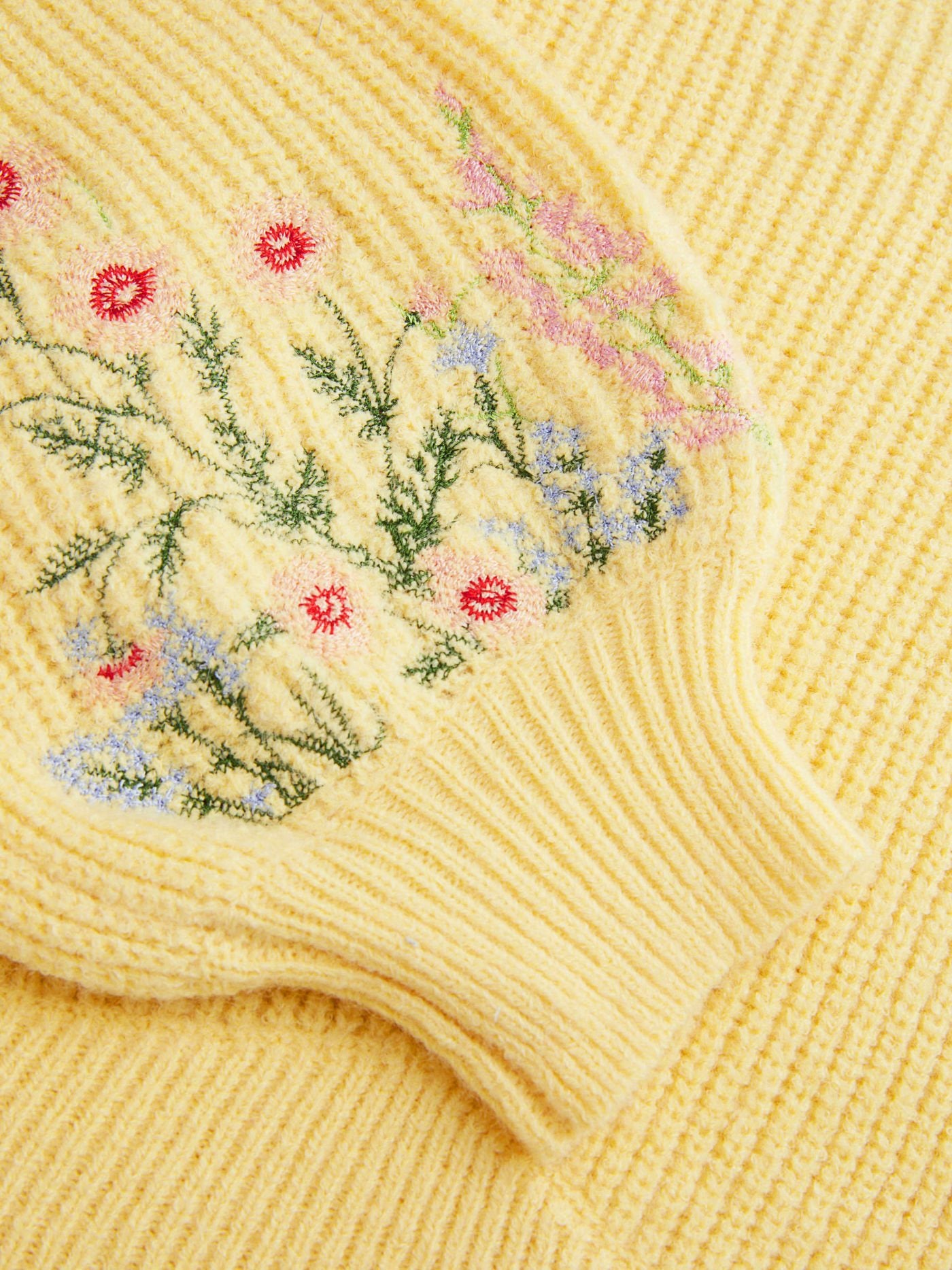 Éloïse – Embroidered Knit Crop Sweater