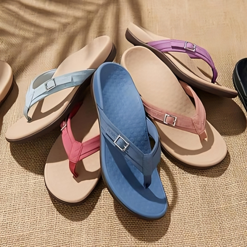 Lotte - Durability Safety Comfort